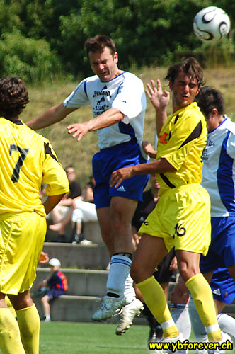 FC Spiez - YB